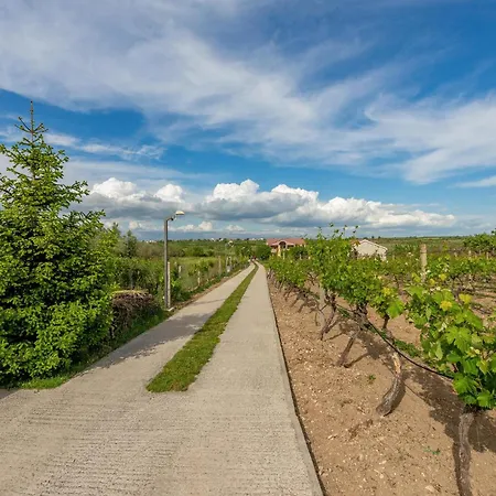 Amazing In * زادار